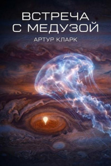 Встреча с медузой