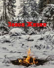 Закон жизни