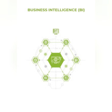 Business Intelligence (BI)