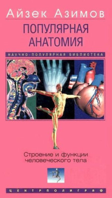 Популярная анатомия. Строение и функции человеческого тела